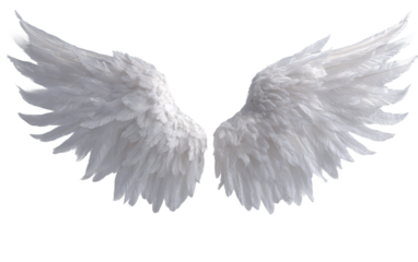 Ethereal white feathered cupid wings arranged artistically in controlled studio lighting for celestial symbolism imagery isolated on transparent background PNG
