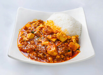 Delicious plate of spicy paneer curry with white rice