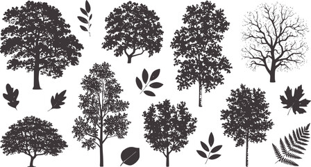 Monochrome botanical silhouettes of various trees and leaves © Musfiqur