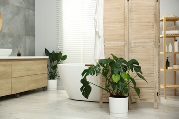 Stylish bathroom interior with folding screen and tub
