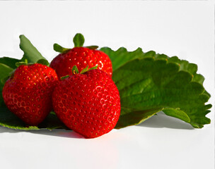 świeże dojrzałe truskawki na zielonych liściach, białe tło, miejsce na tekst, fresh ripe strawberries on green leaves, white background, space for text