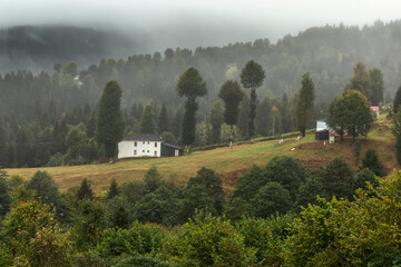 Hıdırnebi Plateau, located in Ak&ccedil;aabat district at an altitude of 1600 meters, is the closest plateau to Trabzon city center.