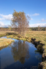 The Aladağ Stream flows through the middle of a plateau surrounded by forests in Bolu...
