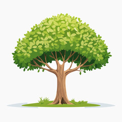 tree with green leaves