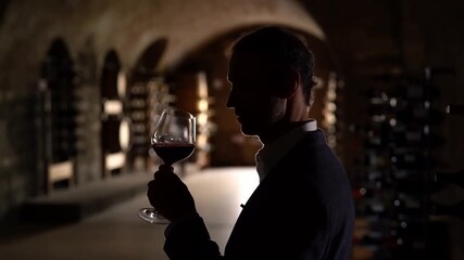 A sophisticated individual is seen examining the aroma of wine in a cellar, a moment of indulgence. The image captures a man's silhouette appreciating the details of wine Stock Video