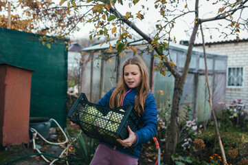 Photograph, portrait of a child, a teenage girl in the garden in autumn with a harvest of green cabbage in a box.