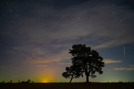 Starry night sky with a Geminids meteor, faint aurora borealis, and a lone tree silhouette on a hill
