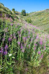 Fototapeta premium Belasitsa Mountain around Kongur peak, Bulgaria
