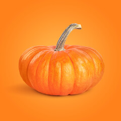 Fresh whole pumpkin on orange background. Gourd vegetable