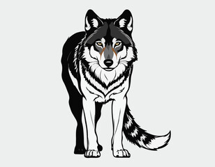 Wolf in black and white animal drawing,