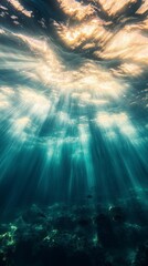 Obraz premium Underwater sunlight dramatic view of light beams through deep ocean water