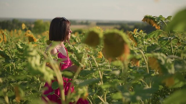 sunflower field black woman contemplative in pink dress slowly walking through tall blooms during golden hour close profile and medium shots show model posing, gardener inspecting petals, poet