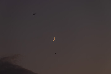 Moon after sunset