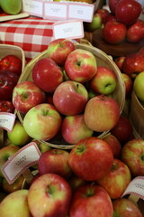 apples in a basket