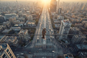 A small bird sits on a wire high above the city, overlooking a glowing sunset skyline and a busy highway below.