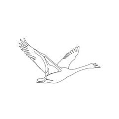 Obraz premium Elegant Swan in Flight - A Minimalist Line Art Illustration.
