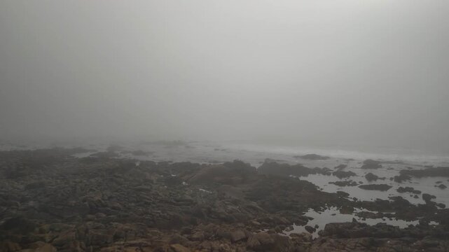 Aerial drone low flight in coastal fog toward the ocean focusing on flying birds along the coast in Ancora Portugal