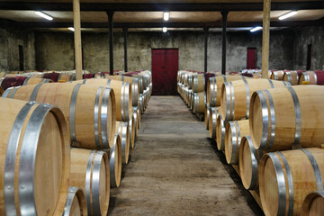 Wine industry storage and production facility with wine barrels