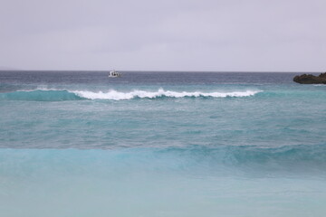 荒れた日の海の高い波の景色