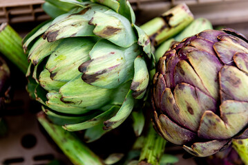 Obraz premium fresh artichokes at farmers market, close-up