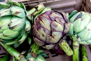 Fototapeta premium fresh artichokes at farmers market, close-up