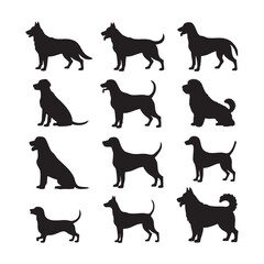 Vector of silhouettes of domestic animals such as dogs, sheep, cows, goats and camels on a white background