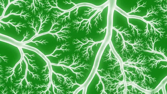 Green screen pattern emergence with vein pattern growing and connecting effect green screen organic patterns style featuring organic