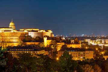Night view of Royal Palace in Budapest