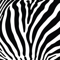 Striking Zebra Stripes A Bold Black and White Pattern.