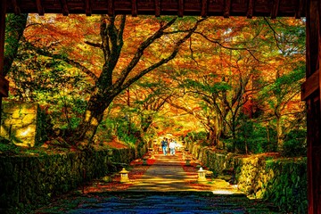 両子寺の紅葉