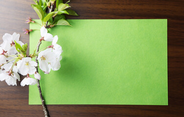 桜のモックアップ