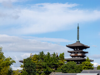 奈良県の奈良市の郊外にある世界遺産の東棟を周囲の田んぼから見える景色