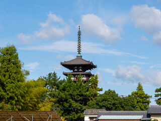 奈良県の奈良市の郊外にある世界遺産の東棟を周囲の田んぼから見える景色