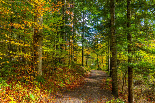 Autumn in the Austrian Alps, Vorarlberg
