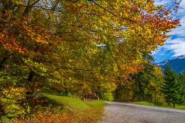 Autumn in the Austrian Alps, Vorarlberg