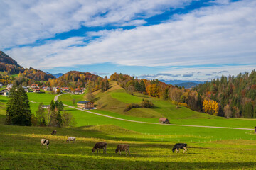 Autumn Scene in Lots, Village of Nenzing, Walgau Valley, State of Vorarlberg, Austria