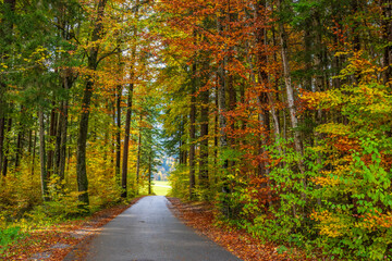 Autumn in the Austrian Alps, Vorarlberg