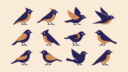 Collection of diverse bird illustrations in various poses and styles