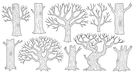 Hand-Drawn Bare Tree Trunks and Branches Line Art Vector Set