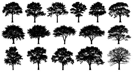 Diverse Collection of Deciduous and Coniferous Tree Silhouettes Vector Set