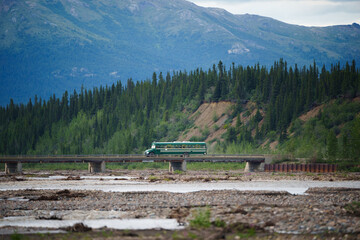 Denali National Park summer landscape mountain view in Alaska