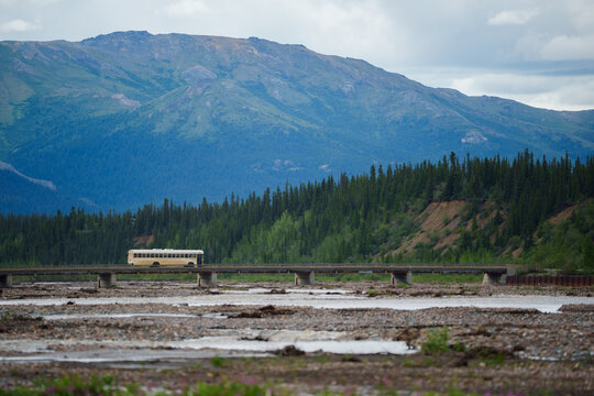 Denali National Park summer landscape mountain view in Alaska