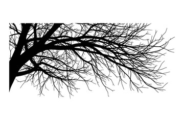 Stark black silhouette of bare tree branches against a white background design element