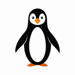 penguin on a white background