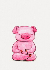 Pig Meditating