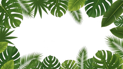 Diverse tropical leaves creating a vibrant frame on transparent background