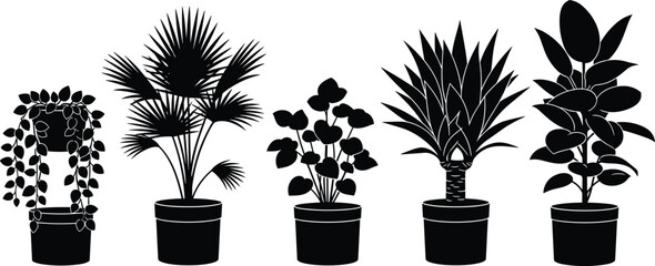 Indoor potted plant silhouettes set modern houseplant collection black vector illustration minimal botanical decor for interior design branding commercial use