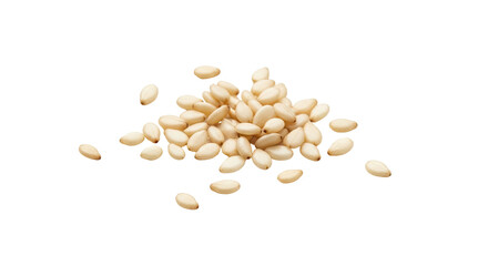 Close-up of a small pile of edible, off-white sesame seeds