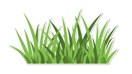 Green Grass Clump Vector Illustration