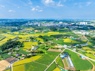 충남 당진시 합덕읍 농촌의 여름 풍경